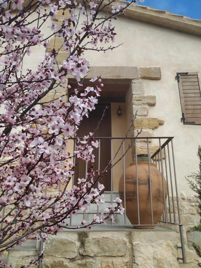 Maset Del Riu ξενώνας Valderrobres Εξωτερικό φωτογραφία