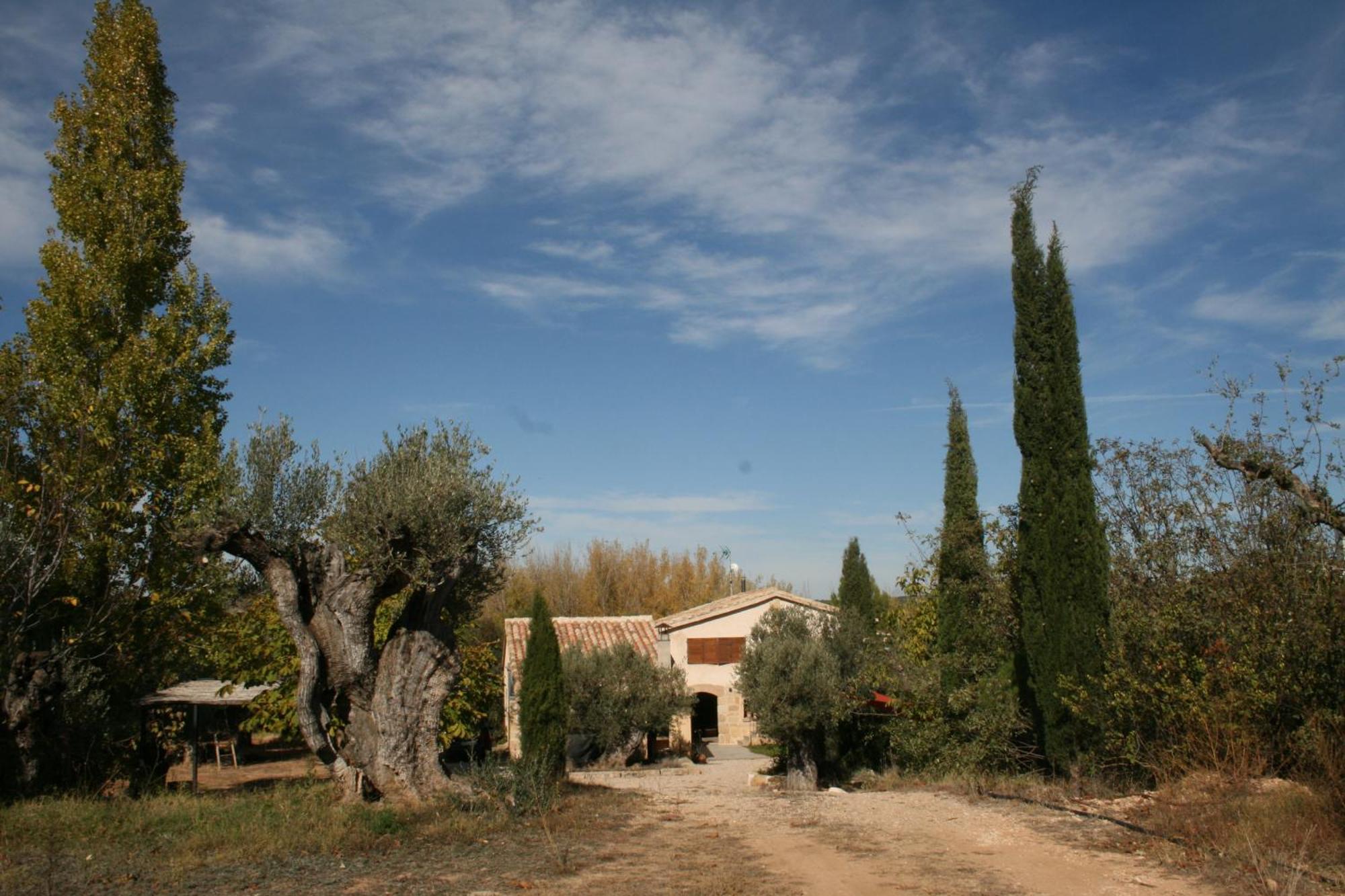 Maset Del Riu ξενώνας Valderrobres Εξωτερικό φωτογραφία