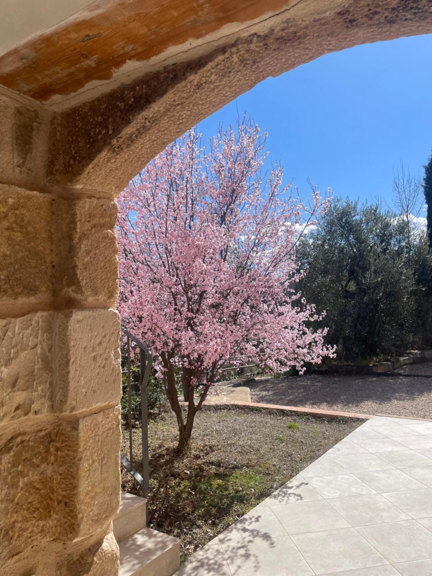 Maset Del Riu ξενώνας Valderrobres Εξωτερικό φωτογραφία